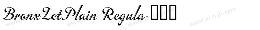 BronxLetPlain Regula字体转换